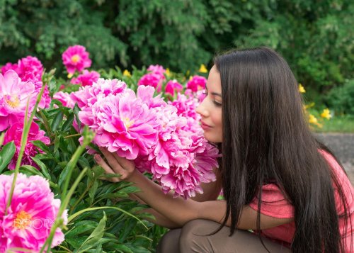 Фотосессия с пионами